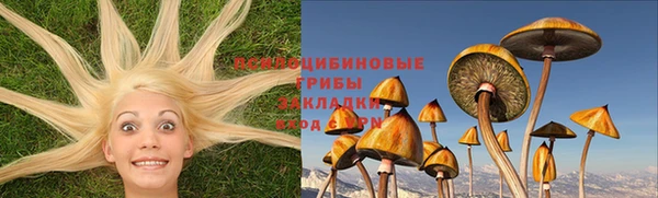 мдпв Елабуга