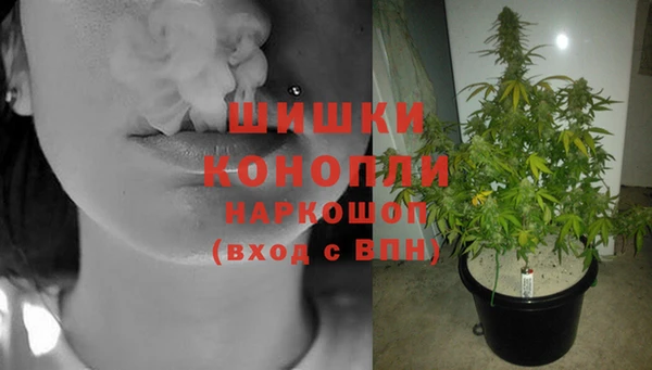 прущие крисы Елизово