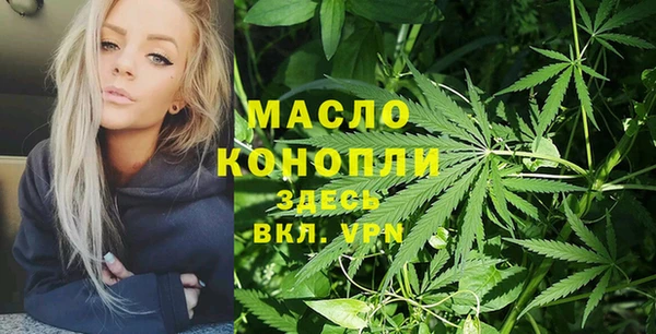 мет Ельня