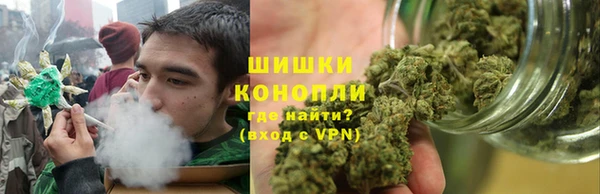 мет Ельня