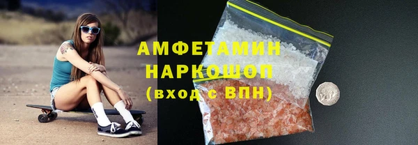 мдпв Елабуга