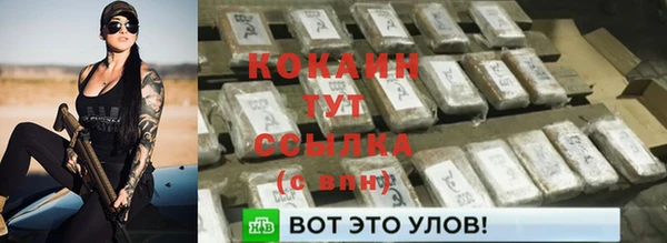 прущие крисы Елизово