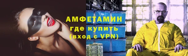 мдпв Елабуга