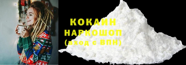 мет Ельня
