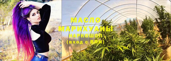мет Ельня