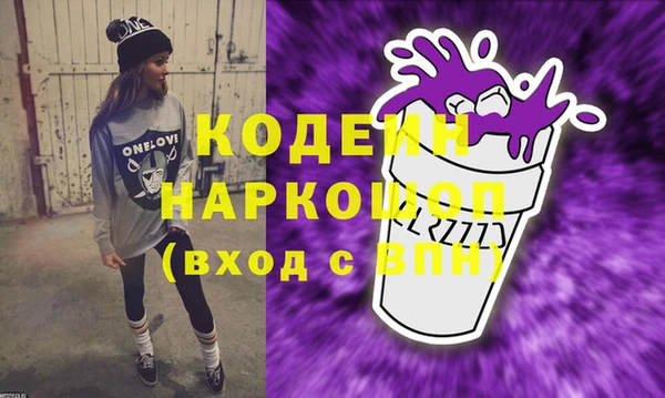 мдпв Елабуга