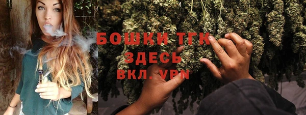 мет Ельня