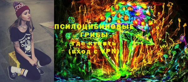 мдпв Елабуга
