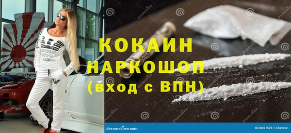 мдпв Елабуга