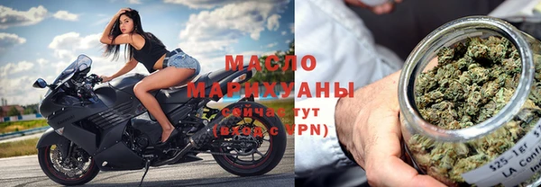 мет Ельня