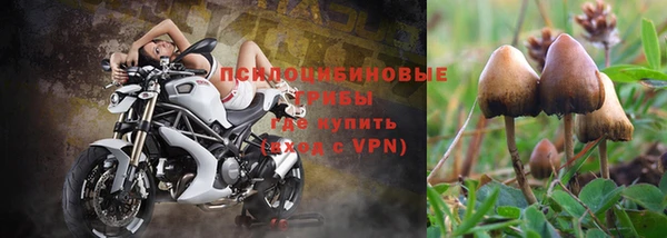 мет Ельня
