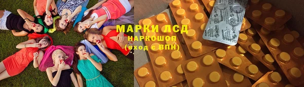 мет Ельня