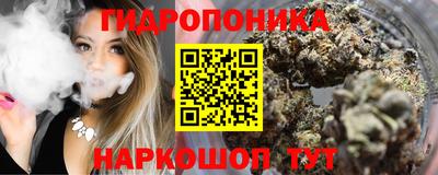 стаф Камышлов