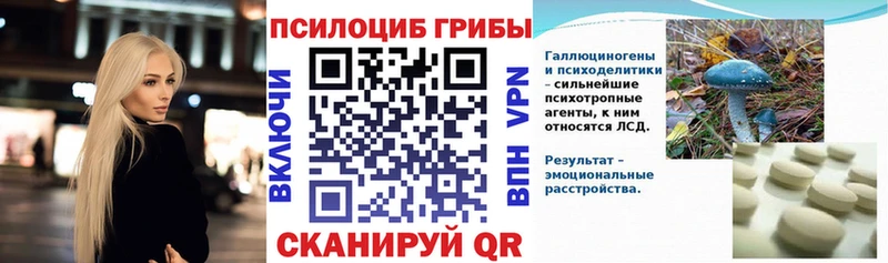 как найти   Рузаевка  Псилоцибиновые грибы Psilocybine cubensis 