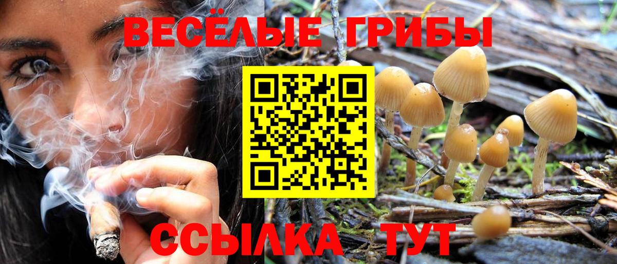 Псилоцибиновые грибы Psilocybine cubensis  Вход с VPN  Рузаевка 